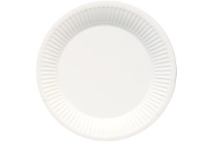 23cm PAPER PLATE