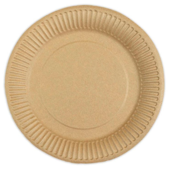 23cm PAPER PLATE